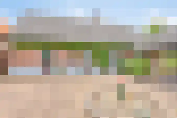 Dr.Biermansstraat 24 Herkenbosch thumbnail 6