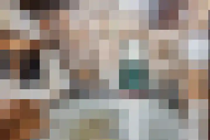 Dr.Biermansstraat 24 Herkenbosch thumbnail 9
