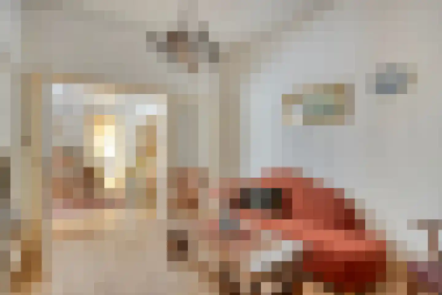 Dr.Biermansstraat 6 Herkenbosch thumbnail 10