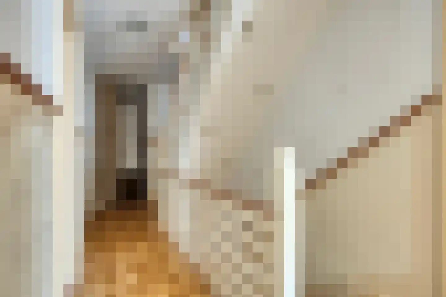 Dr.Biermansstraat 6 Herkenbosch thumbnail 16