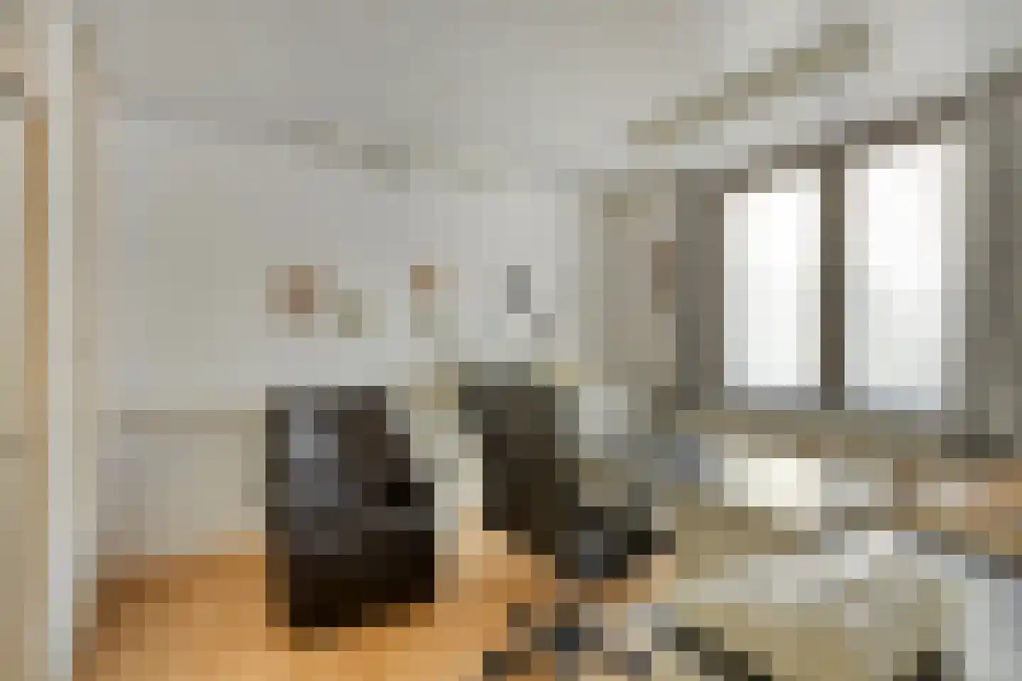 Dr.Biermansstraat 6 Herkenbosch thumbnail 21