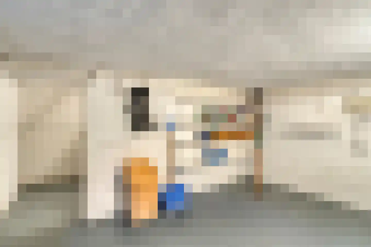 Dr.Biermansstraat 6 Herkenbosch thumbnail 27