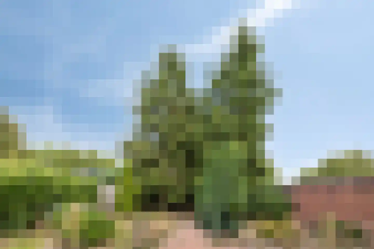 Dr.Biermansstraat 6 Herkenbosch thumbnail 36