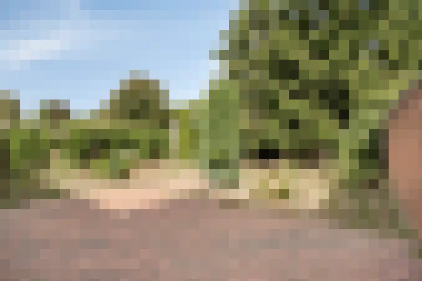 Dr.Biermansstraat 6 Herkenbosch thumbnail 37