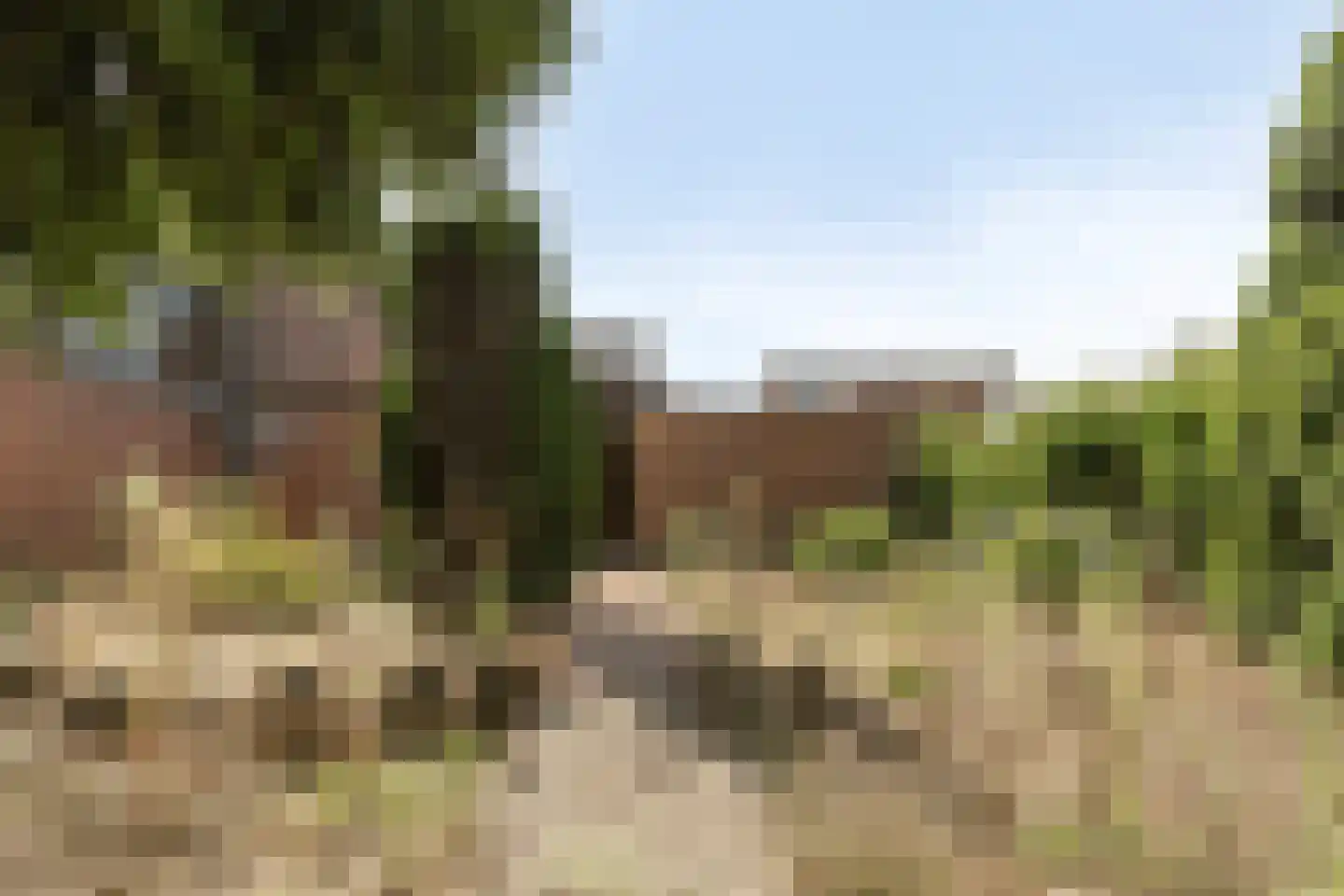 Dr.Biermansstraat 6 Herkenbosch thumbnail 39