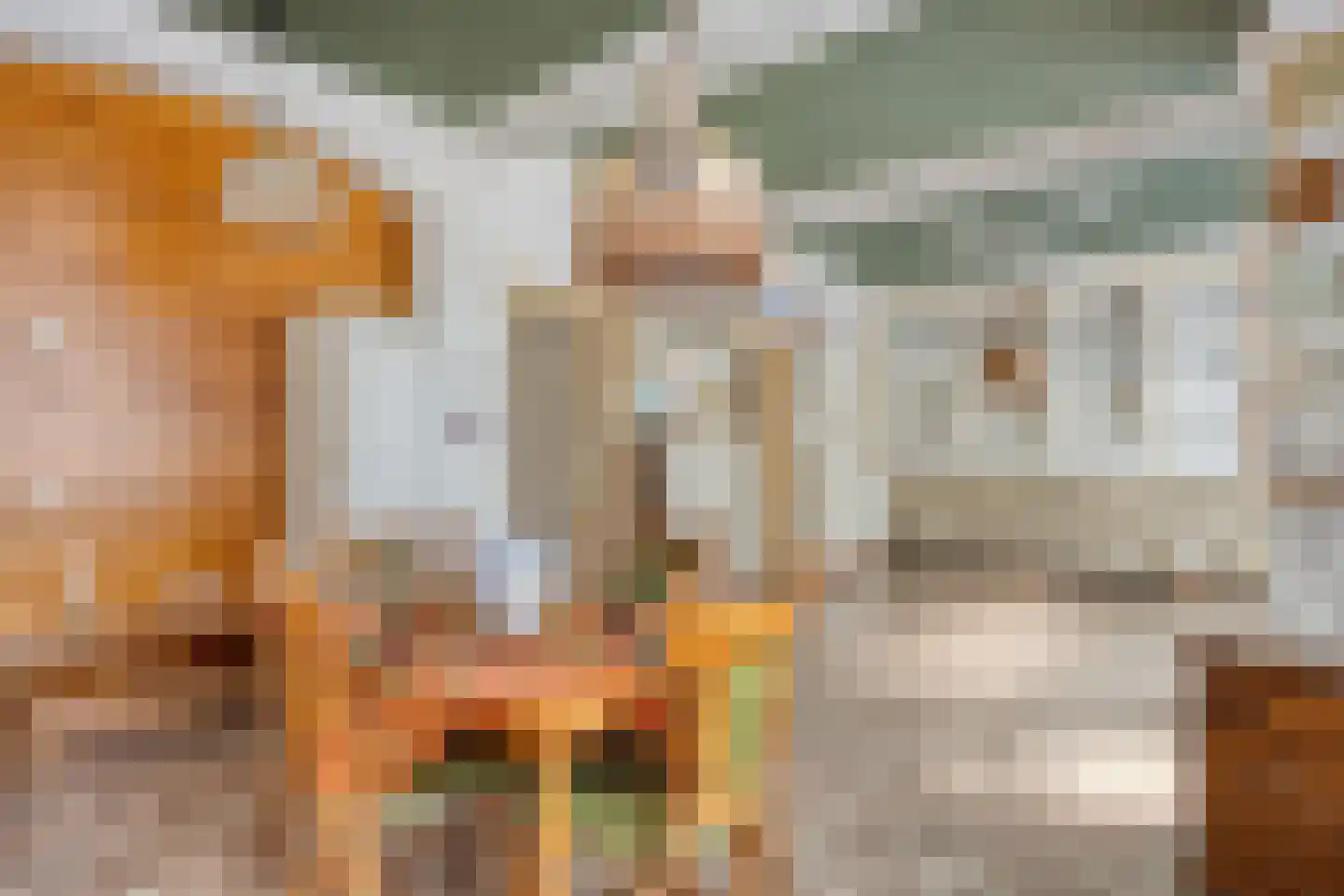 Dr.Biermansstraat 6 Herkenbosch thumbnail 4