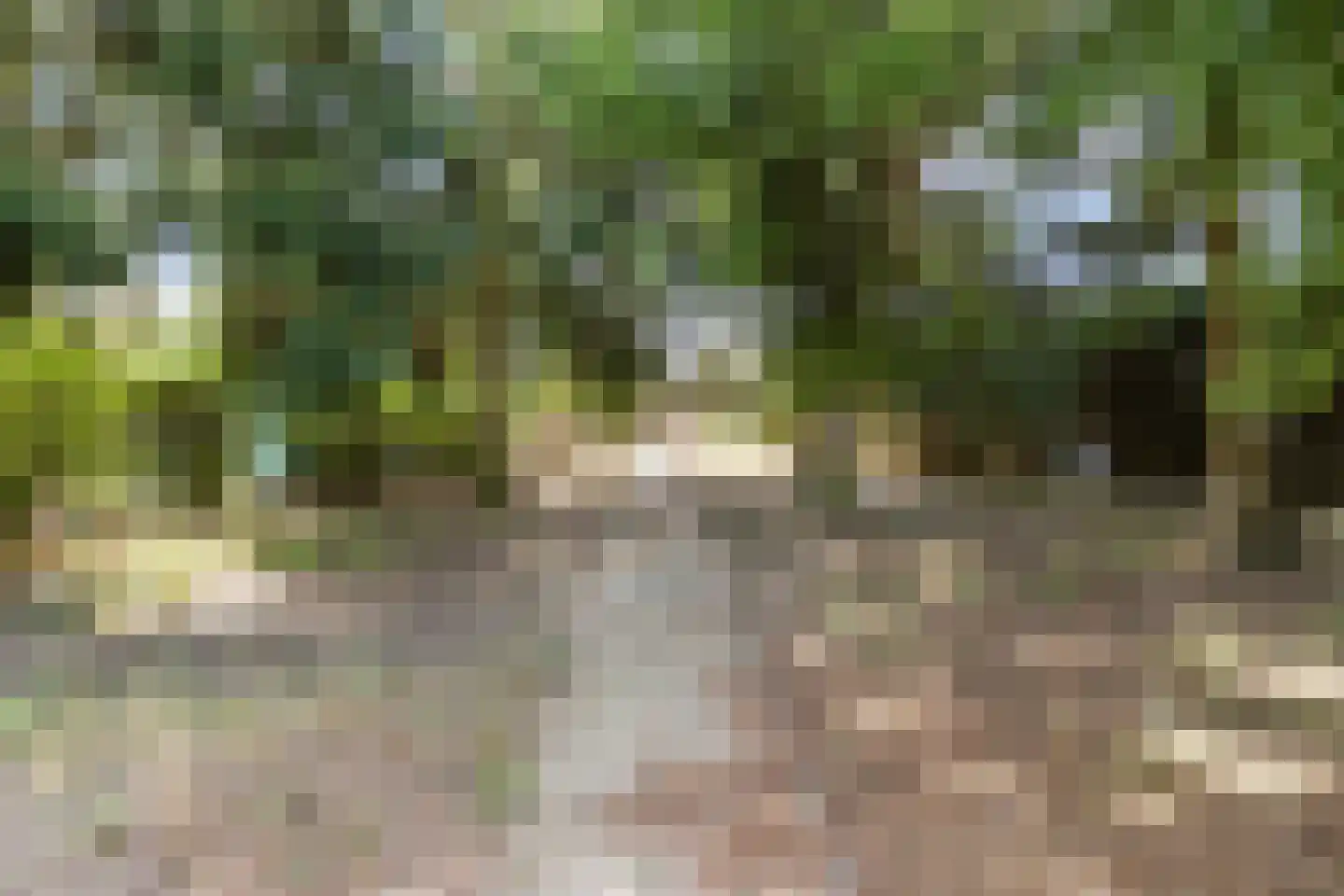 Dr.Biermansstraat 6 Herkenbosch thumbnail 40