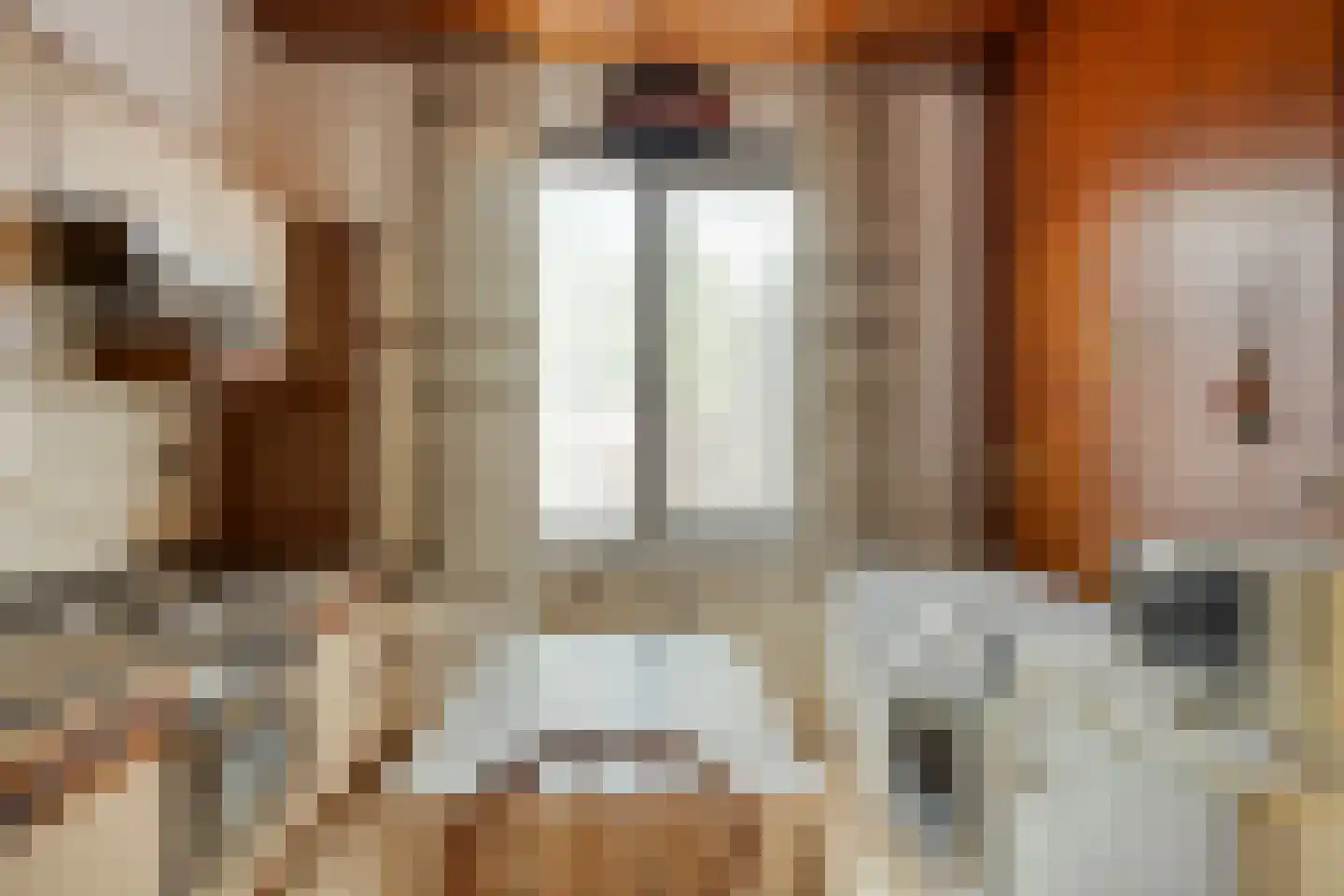 Dr.Biermansstraat 6 Herkenbosch thumbnail 8