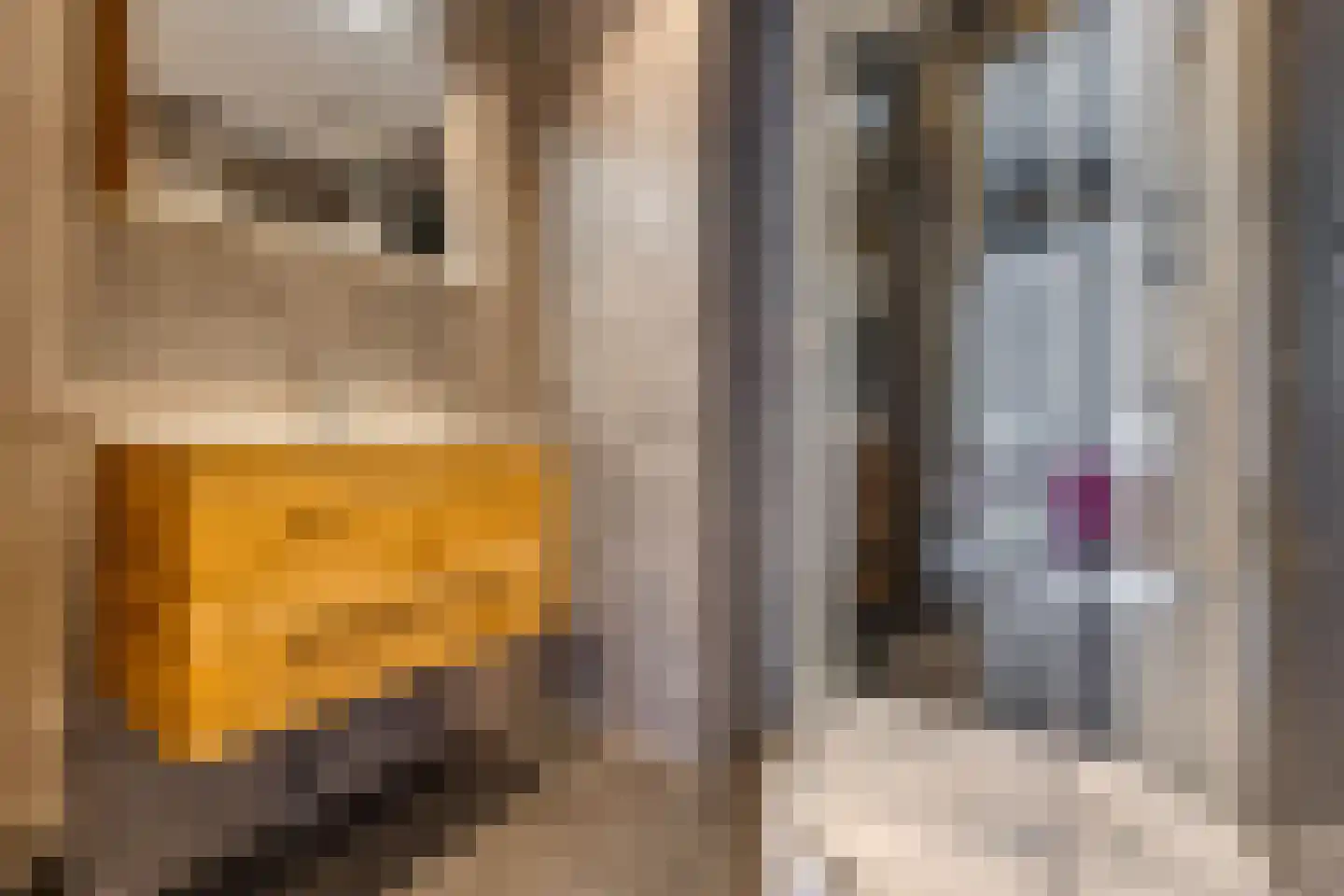 Dr. Boelmans Kranenburgstraat 1 Ter Apel thumbnail 25