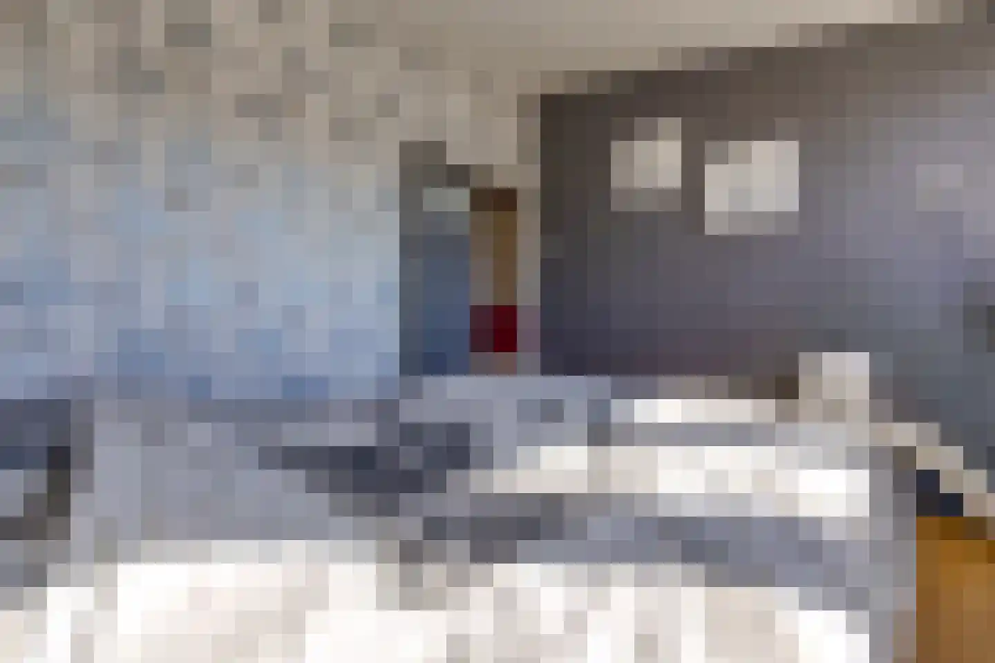 Dr. Boelmans Kranenburgstraat 1 Ter Apel thumbnail 30