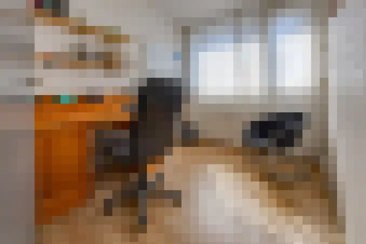 Dr. Boelmans Kranenburgstraat 1 Ter Apel thumbnail 31