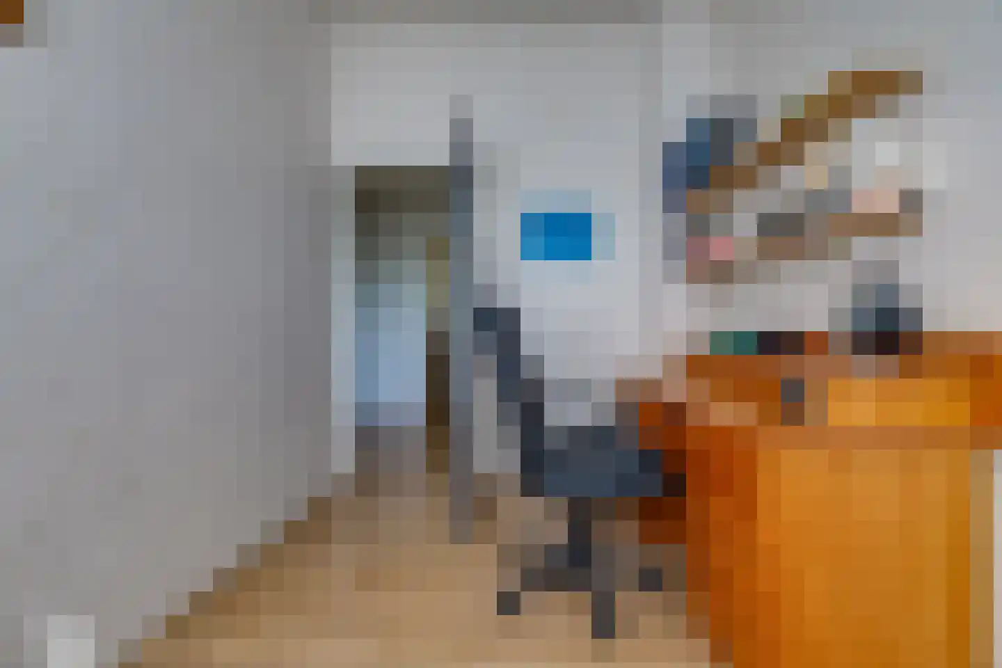 Dr. Boelmans Kranenburgstraat 1 Ter Apel thumbnail 32