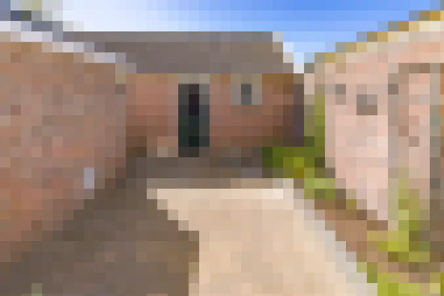 Dr. Boelmans Kranenburgstraat 1 Ter Apel thumbnail 37