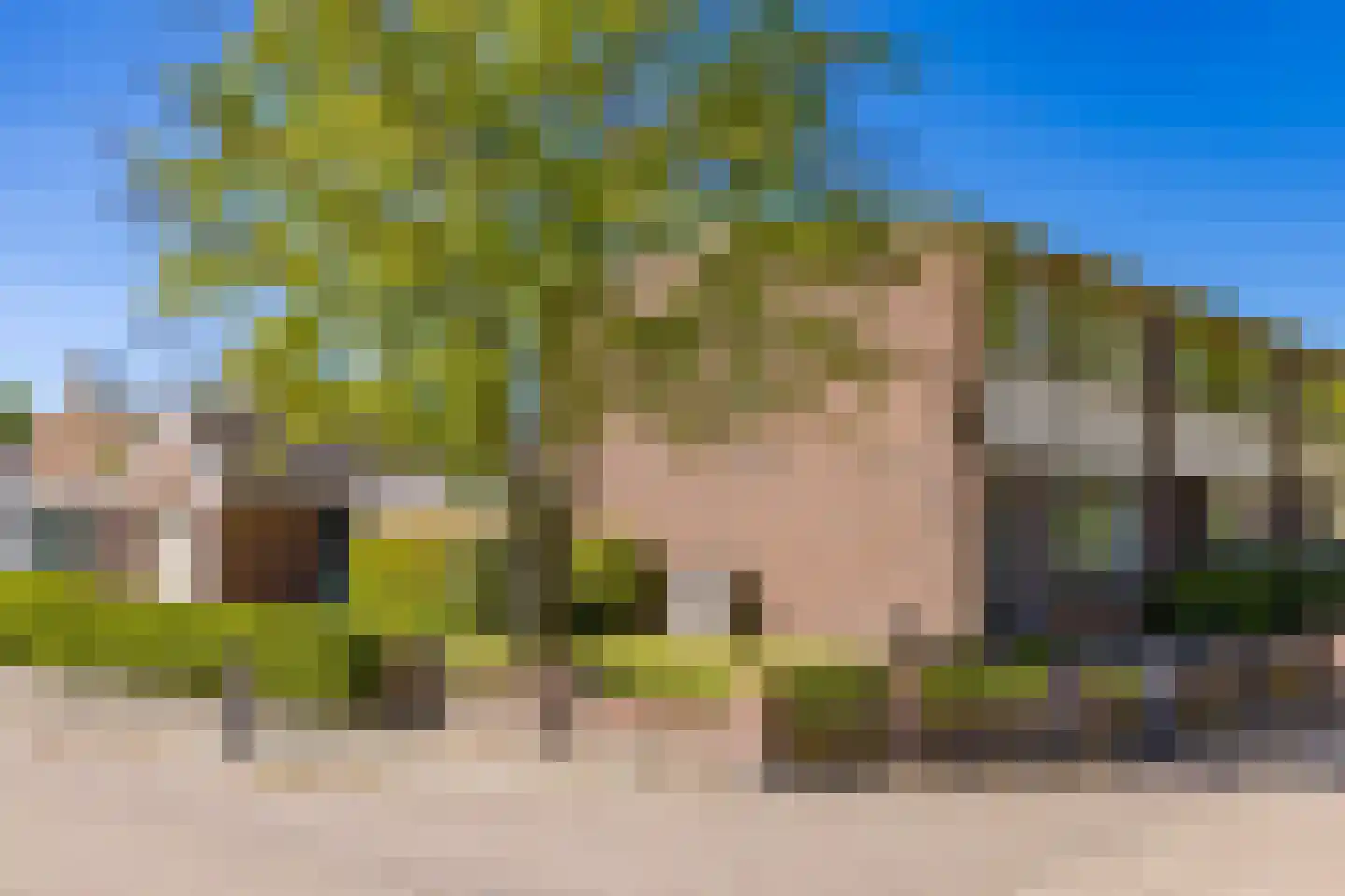 Dr. Boelmans Kranenburgstraat 1 Ter Apel thumbnail 4