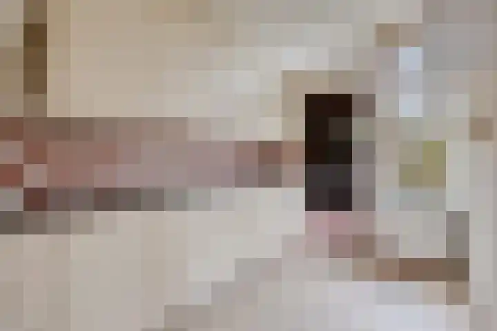 Dr. Boelmans Kranenburgstraat 12 Ter Apel thumbnail 10