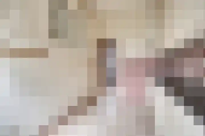 Dr. Boelmans Kranenburgstraat 12 Ter Apel thumbnail 12