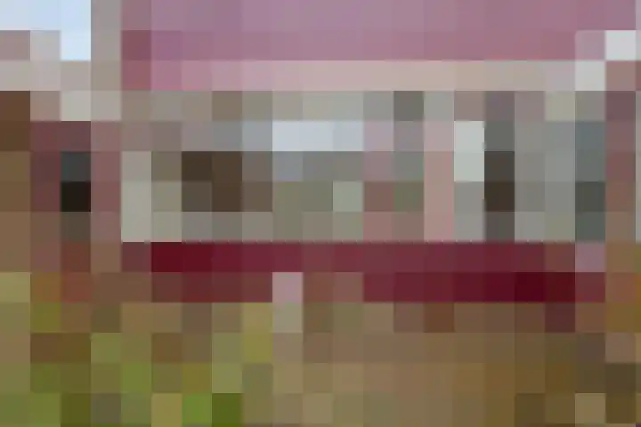 Dr. Boelmans Kranenburgstraat 12 Ter Apel thumbnail 21