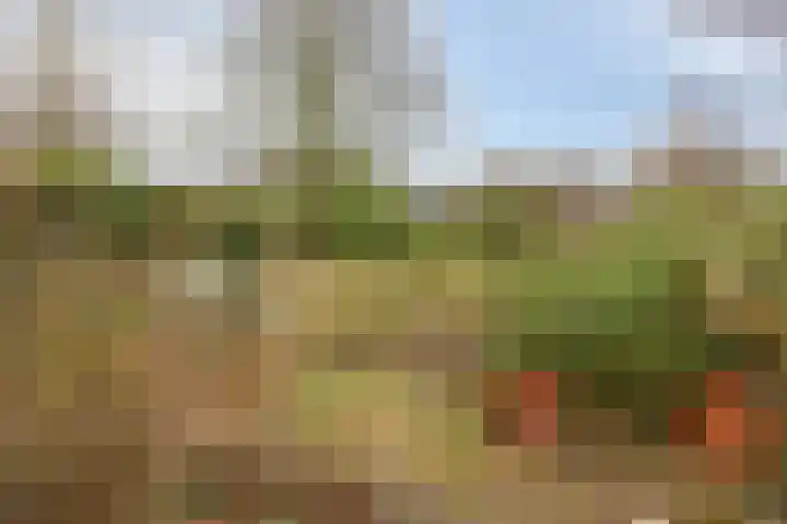 Dr. Boelmans Kranenburgstraat 12 Ter Apel thumbnail 22