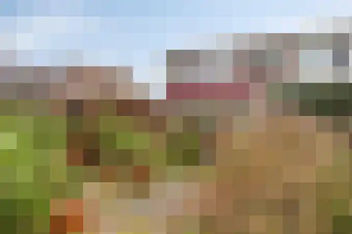Dr. Boelmans Kranenburgstraat 12 Ter Apel thumbnail 23