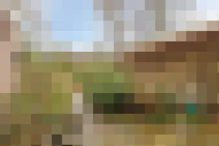 Dr. Boelmans Kranenburgstraat 12 Ter Apel thumbnail 25