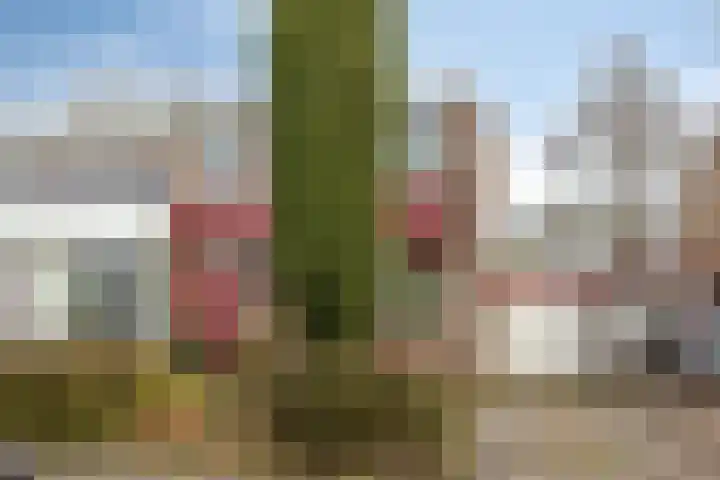 Dr. Boelmans Kranenburgstraat 12 Ter Apel thumbnail 28