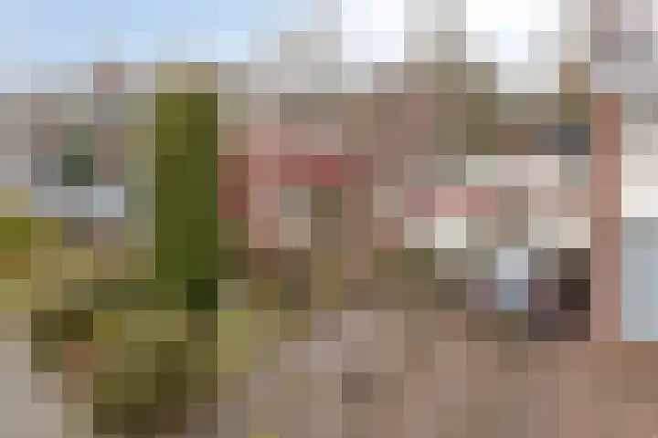 Dr. Boelmans Kranenburgstraat 12 Ter Apel thumbnail 29