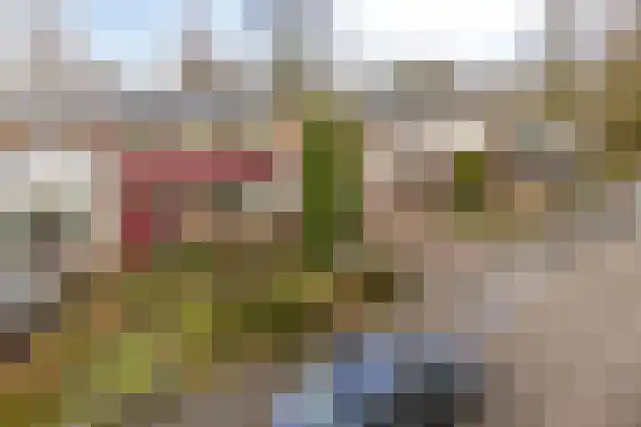 Dr. Boelmans Kranenburgstraat 12 Ter Apel thumbnail 30