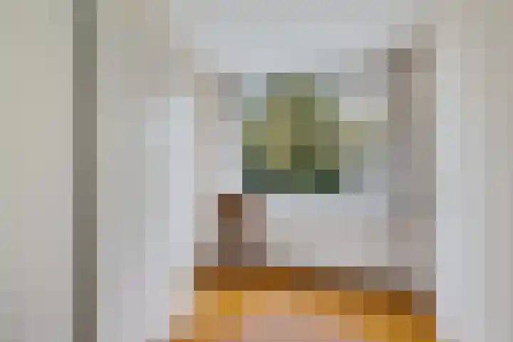 Dr. Boelmans Kranenburgstraat 24 Ter Apel thumbnail 19