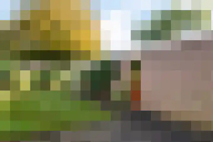 Dr. Boelmans Kranenburgstraat 24 Ter Apel thumbnail 27