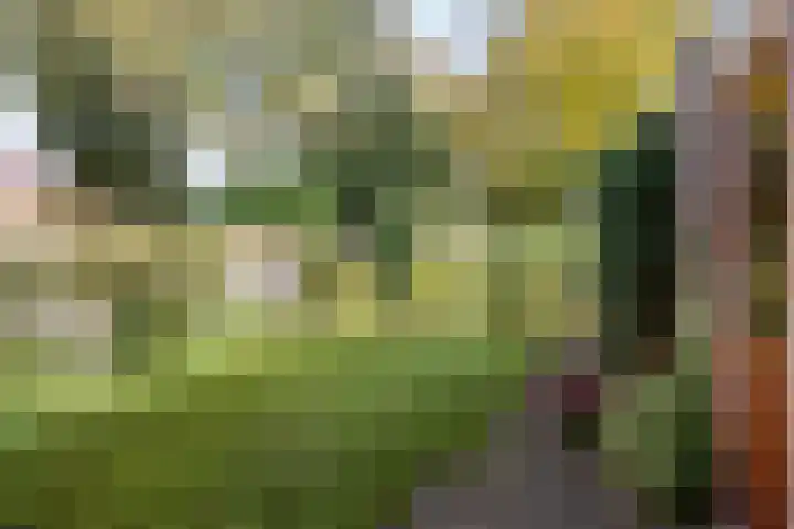 Dr. Boelmans Kranenburgstraat 24 Ter Apel thumbnail 28