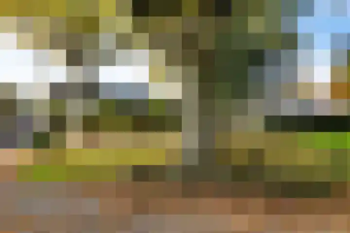 Dr. Boelmans Kranenburgstraat 24 Ter Apel thumbnail 4