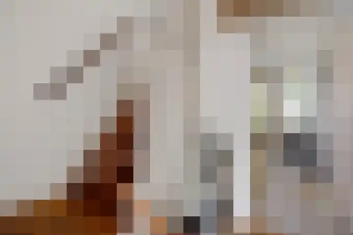 Dr. Boelmans Kranenburgstraat 24 Ter Apel thumbnail 5