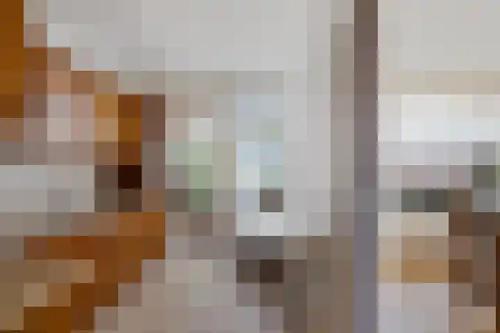 Dr. Boelmans Kranenburgstraat 24 Ter Apel thumbnail 8