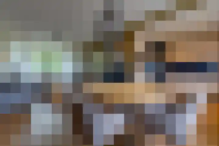 Dr. Boelmans Kranenburgstraat 3 Ter Apel thumbnail 10
