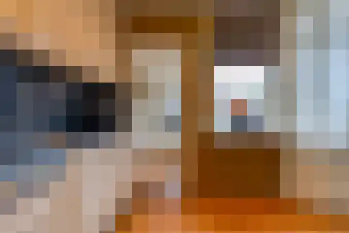 Dr. Boelmans Kranenburgstraat 3 Ter Apel thumbnail 14