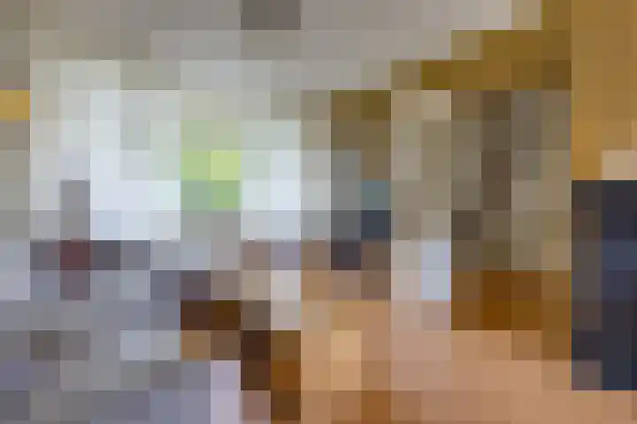 Dr. Boelmans Kranenburgstraat 3 Ter Apel thumbnail 16