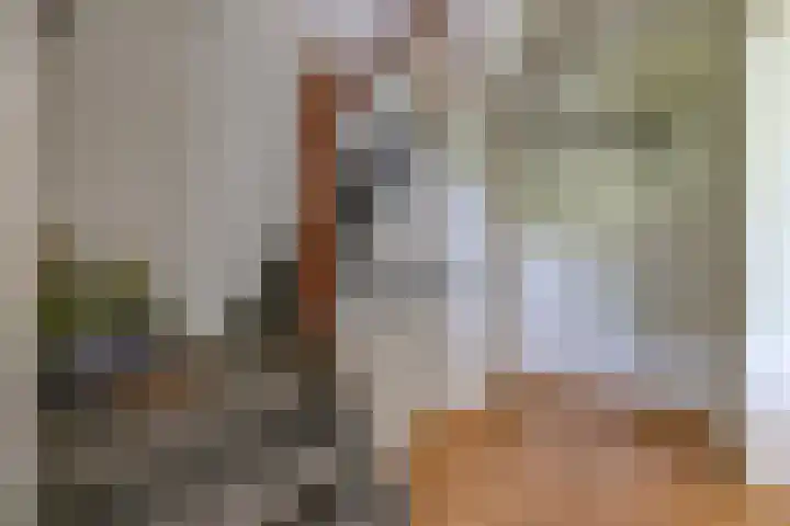 Dr. Boelmans Kranenburgstraat 3 Ter Apel thumbnail 19
