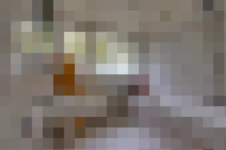 Dr. Boelmans Kranenburgstraat 3 Ter Apel thumbnail 28