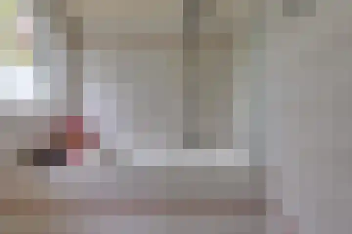 Dr. Boelmans Kranenburgstraat 3 Ter Apel thumbnail 29