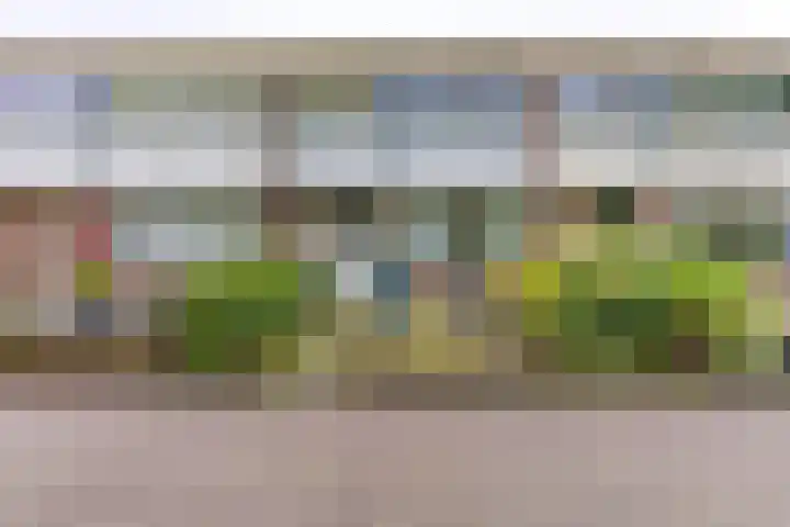Dr. Boelmans Kranenburgstraat 3 Ter Apel thumbnail 39
