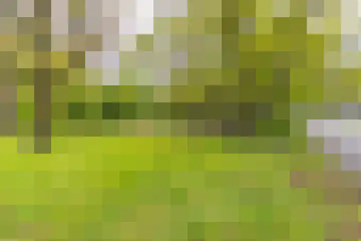 Dr. Boelmans Kranenburgstraat 3 Ter Apel thumbnail 4