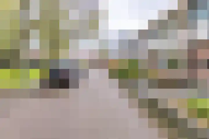 Dr. Boelmans Kranenburgstraat 3 Ter Apel thumbnail 5