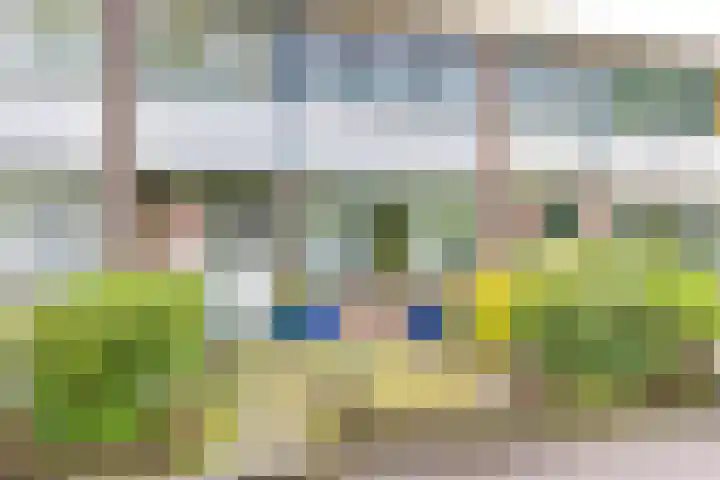 Dr. Boelmans Kranenburgstraat 3 Ter Apel thumbnail 6