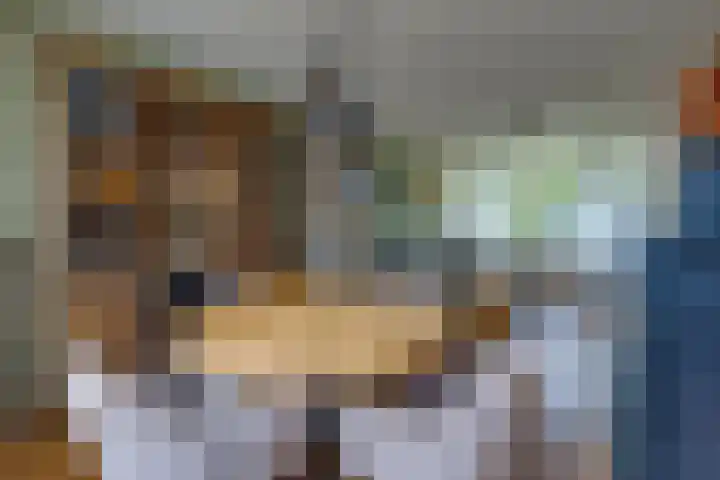Dr. Boelmans Kranenburgstraat 3 Ter Apel thumbnail 7