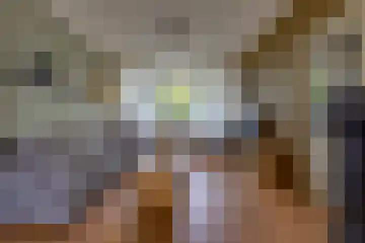 Dr. Boelmans Kranenburgstraat 3 Ter Apel thumbnail 8