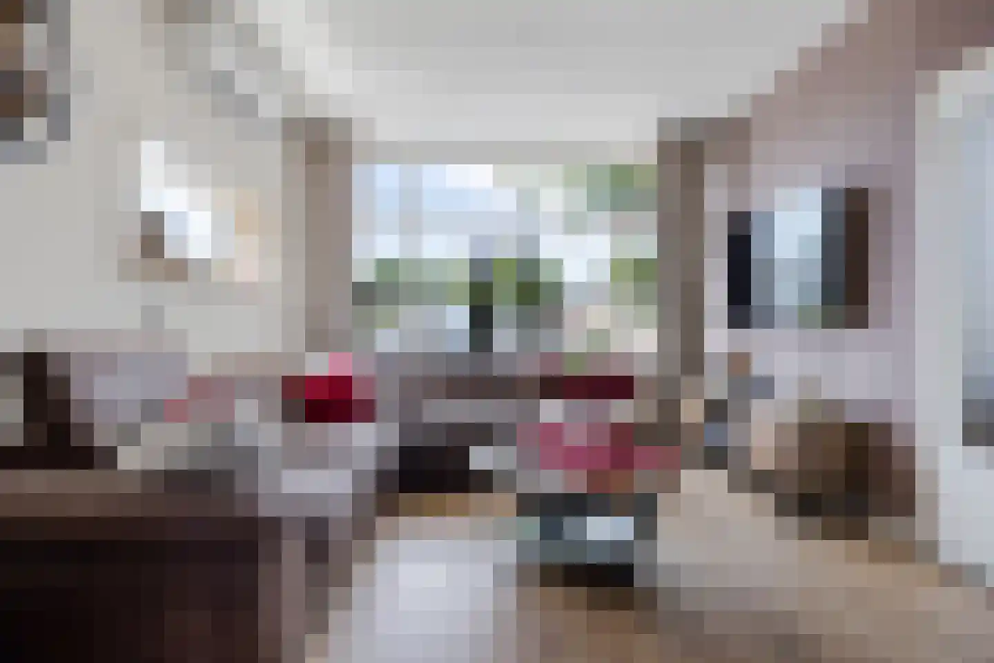 Dr. Boelmans Kranenburgstraat 36 Ter Apel thumbnail 10