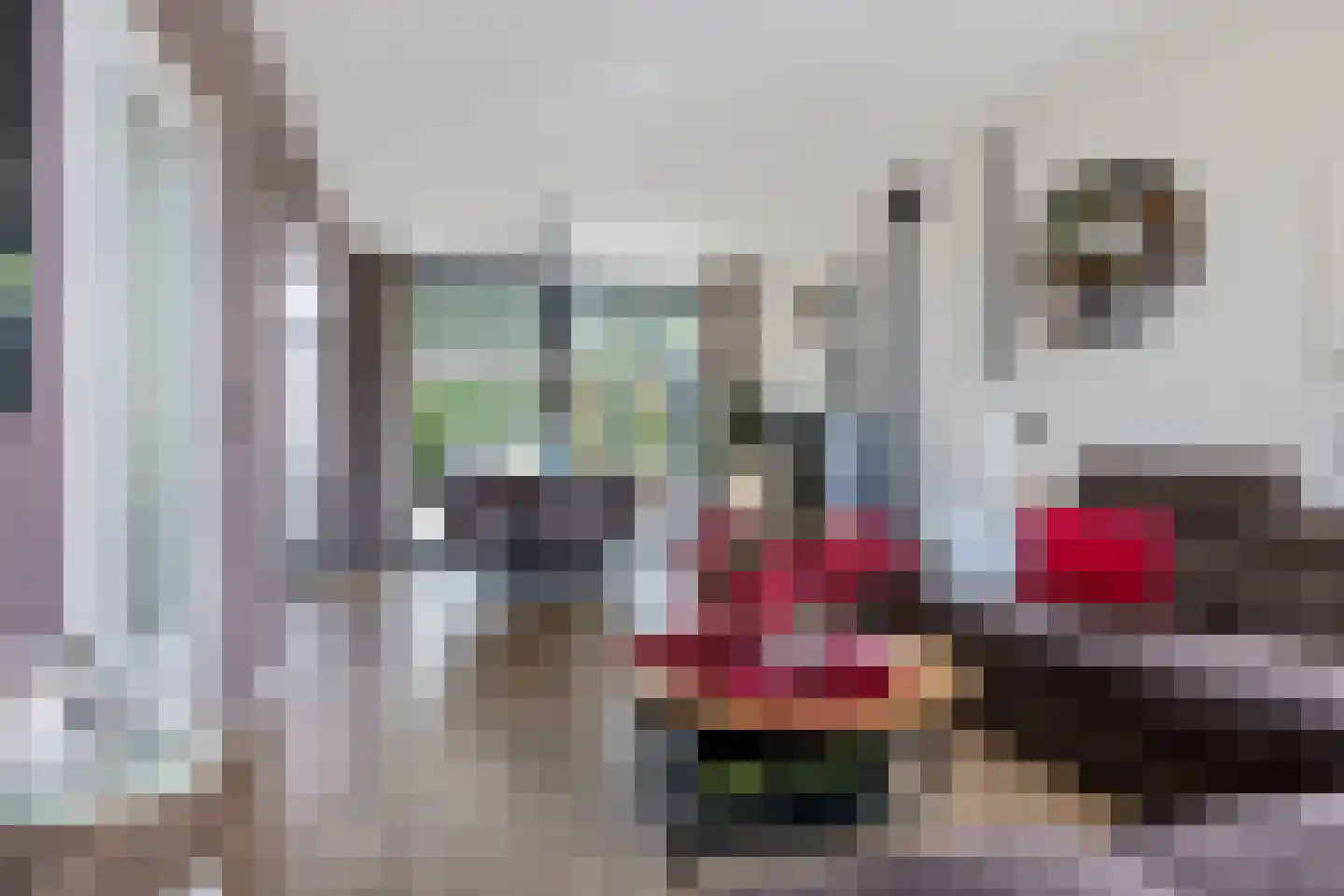 Dr. Boelmans Kranenburgstraat 36 Ter Apel thumbnail 13