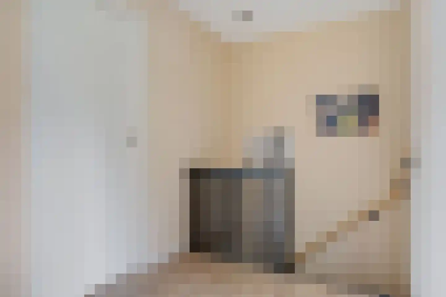 Dr. Boelmans Kranenburgstraat 36 Ter Apel thumbnail 21