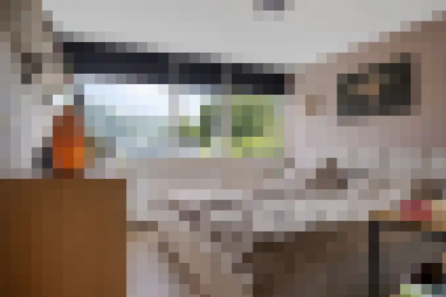 Dr. Boelmans Kranenburgstraat 36 Ter Apel thumbnail 22