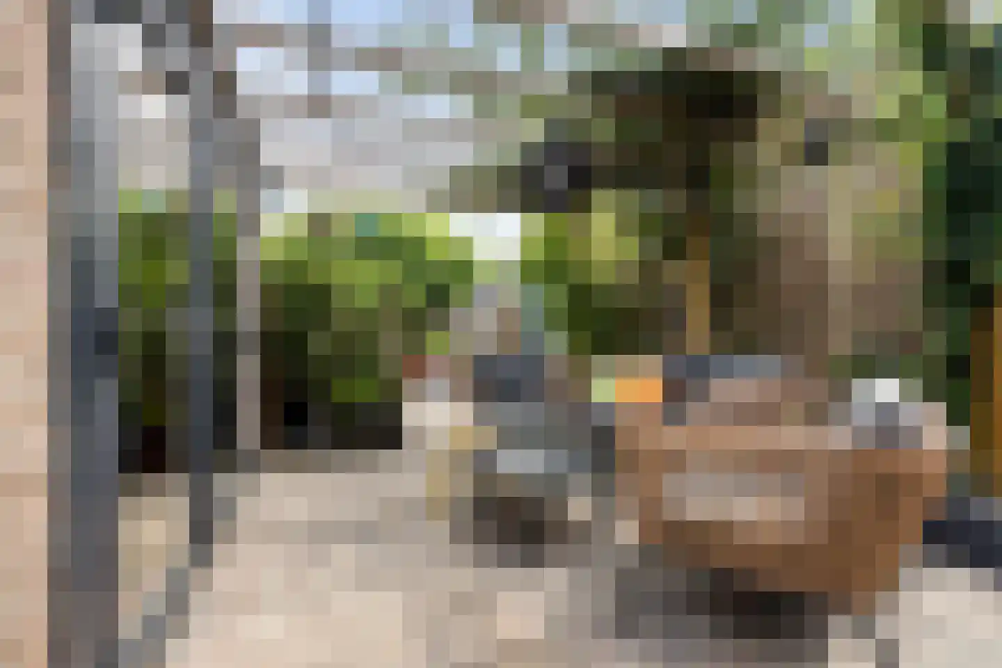 Dr. Boelmans Kranenburgstraat 36 Ter Apel thumbnail 36